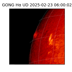 gong - 2025-02-23T06:00:02