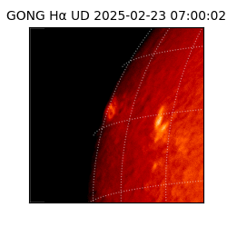 gong - 2025-02-23T07:00:02