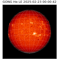 gong - 2025-02-23T00:00:42