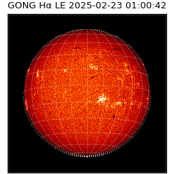 gong - 2025-02-23T01:00:42