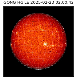gong - 2025-02-23T02:00:42