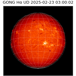 gong - 2025-02-23T03:00:02