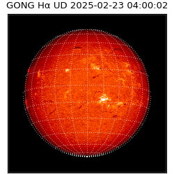 gong - 2025-02-23T04:00:02