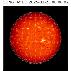 gong - 2025-02-23T06:00:02