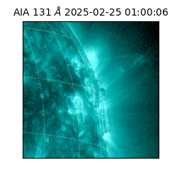 saia - 2025-02-25T01:00:06.622000