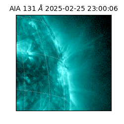 saia - 2025-02-25T23:00:06.638000