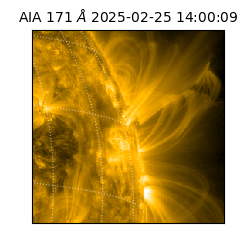 saia - 2025-02-25T14:00:09.350000