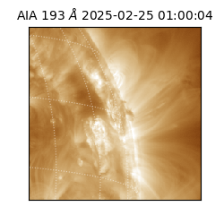 saia - 2025-02-25T01:00:04.846000