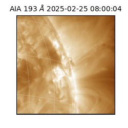 saia - 2025-02-25T08:00:04.844000
