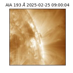 saia - 2025-02-25T09:00:04.843000