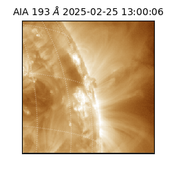 saia - 2025-02-25T13:00:06.927000