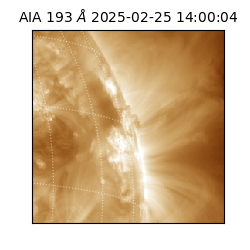 saia - 2025-02-25T14:00:04.843000