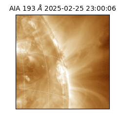 saia - 2025-02-25T23:00:06.936000