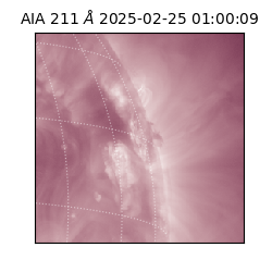 saia - 2025-02-25T01:00:09.626000