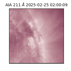 saia - 2025-02-25T02:00:09.630000