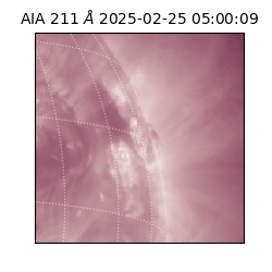 saia - 2025-02-25T05:00:09.633000