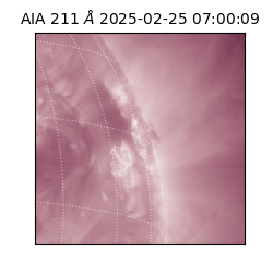 saia - 2025-02-25T07:00:09.626000