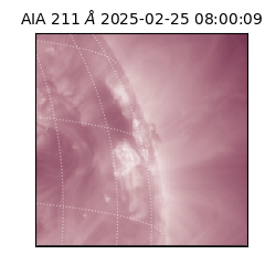 saia - 2025-02-25T08:00:09.632000
