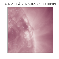 saia - 2025-02-25T09:00:09.626000