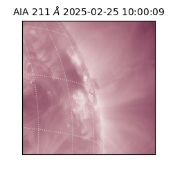 saia - 2025-02-25T10:00:09.626000