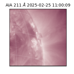 saia - 2025-02-25T11:00:09.630000