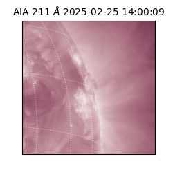 saia - 2025-02-25T14:00:09.625000