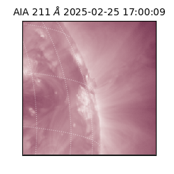 saia - 2025-02-25T17:00:09.631000