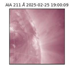 saia - 2025-02-25T19:00:09.625000