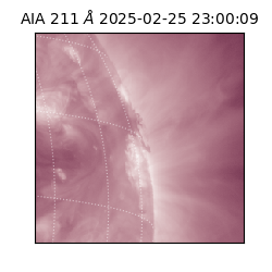 saia - 2025-02-25T23:00:09.622000