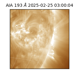 saia - 2025-02-25T03:00:04.846000