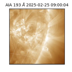 saia - 2025-02-25T09:00:04.843000