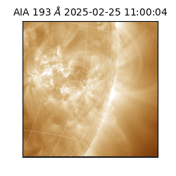 saia - 2025-02-25T11:00:04.843000