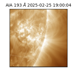 saia - 2025-02-25T19:00:04.843000