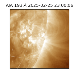 saia - 2025-02-25T23:00:06.936000