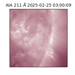 saia - 2025-02-25T03:00:09.631000