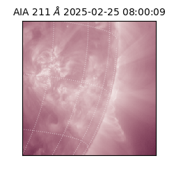 saia - 2025-02-25T08:00:09.632000