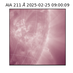 saia - 2025-02-25T09:00:09.626000