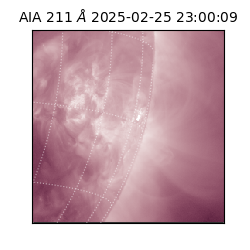 saia - 2025-02-25T23:00:09.622000