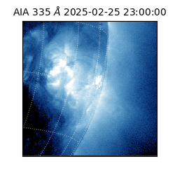 saia - 2025-02-25T23:00:00.625000