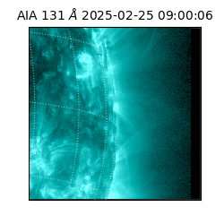 saia - 2025-02-25T09:00:06.622000