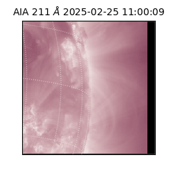 saia - 2025-02-25T11:00:09.630000