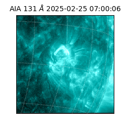 saia - 2025-02-25T07:00:06.625000