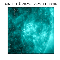 saia - 2025-02-25T11:00:06.622000