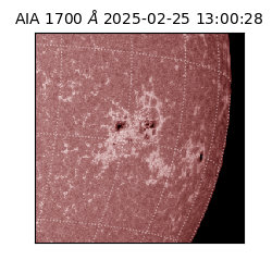 saia - 2025-02-25T13:00:28.718000