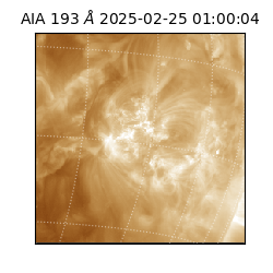 saia - 2025-02-25T01:00:04.846000