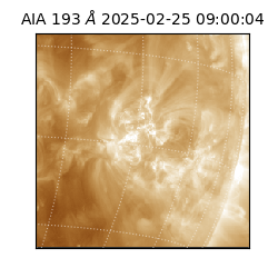saia - 2025-02-25T09:00:04.843000