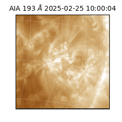 saia - 2025-02-25T10:00:04.843000