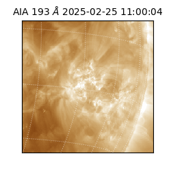 saia - 2025-02-25T11:00:04.843000
