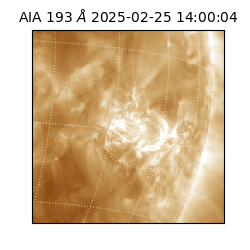 saia - 2025-02-25T14:00:04.843000