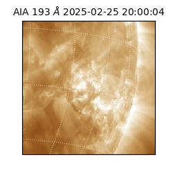 saia - 2025-02-25T20:00:04.843000